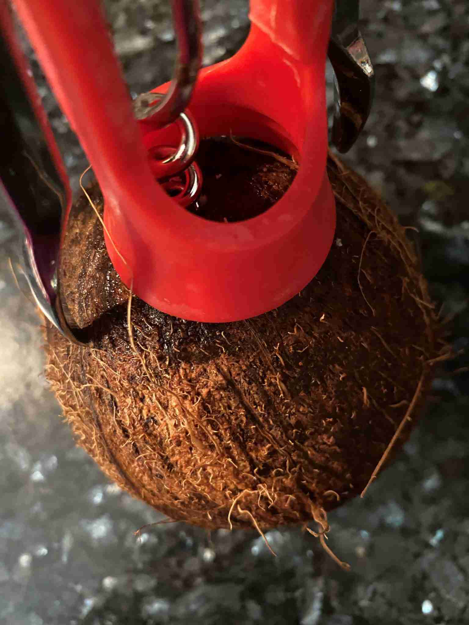 Come Si Rompe Una Noce Di Cocco